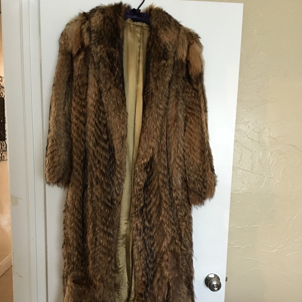Chinese Tanuki full length